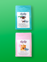 SipSip Cold Brew Lover